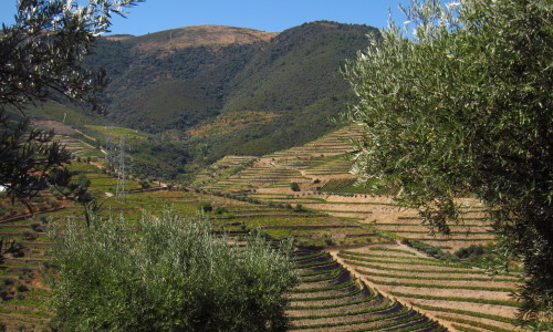 Nyheter november 2015