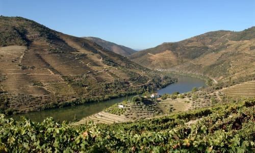 Nyhetsslipp september