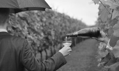 Nyhetsslipp november